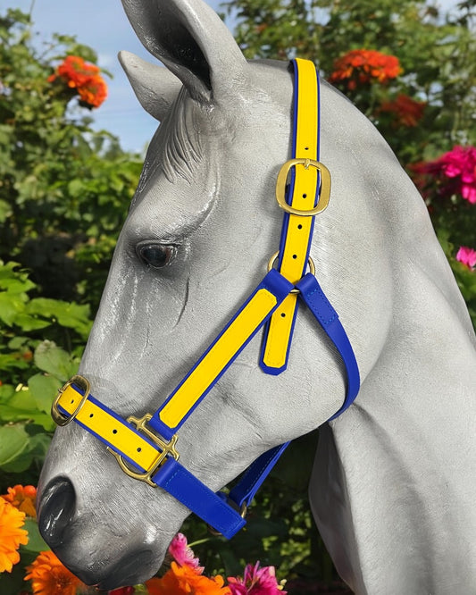 Horse racing, racing halters, race halters, horse racing halters, polo halters, halters, buckle nose halters, BioThane race halters, BioThane halters