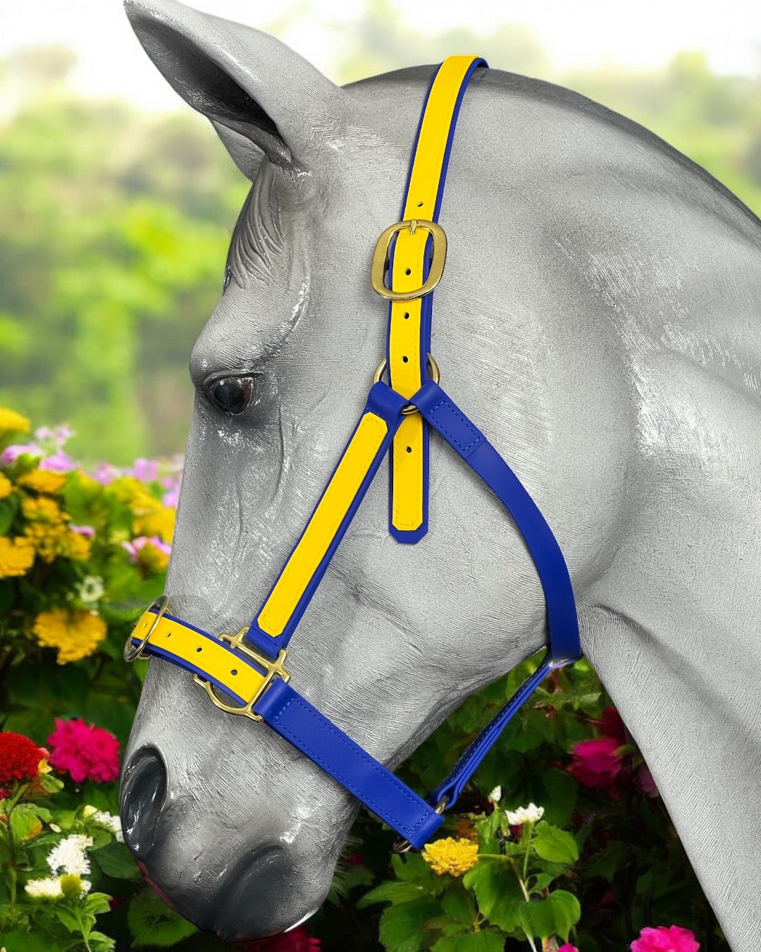 LS Race Day Halter