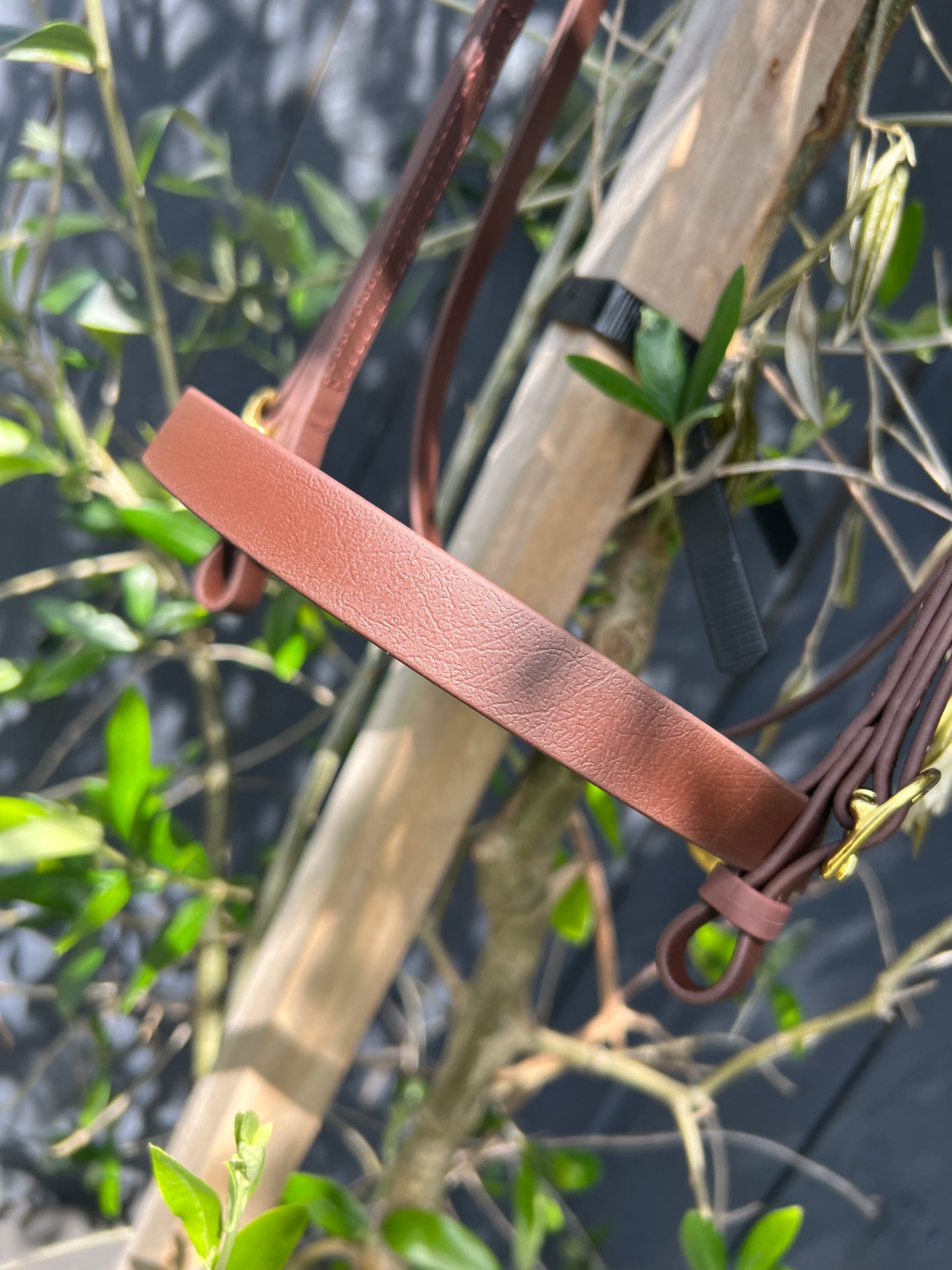 LS BioThane® In-Hand Bridle