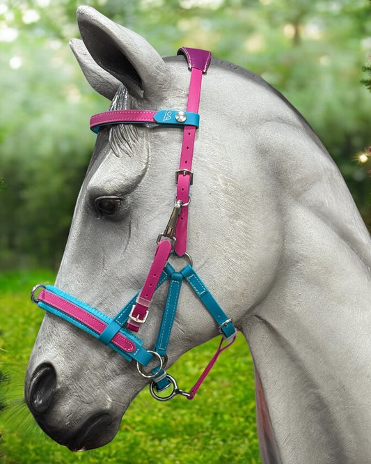 A gray horse stands against a blurred green background, wearing an eye-catching LS Equestrian Multi Bridle Option 3, designed with pink and blue BioThane straps. Ideal for bitless riding, the bridle is adorned with shiny metal buckles and a decorative emblem.