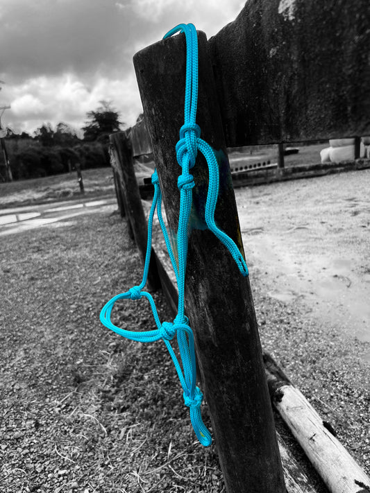 Halter estándar del equipo Earthhorse