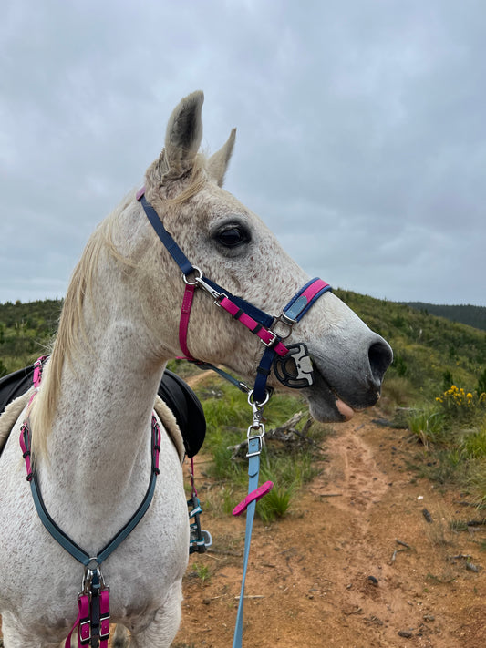 A gray horse stands on a dirt trail surrounded by green hills under a cloudy sky, wearing an LS Halter Bridle from LS Equestrian, customizable with pink and blue BioThane® for ultimate comfort and versatility.