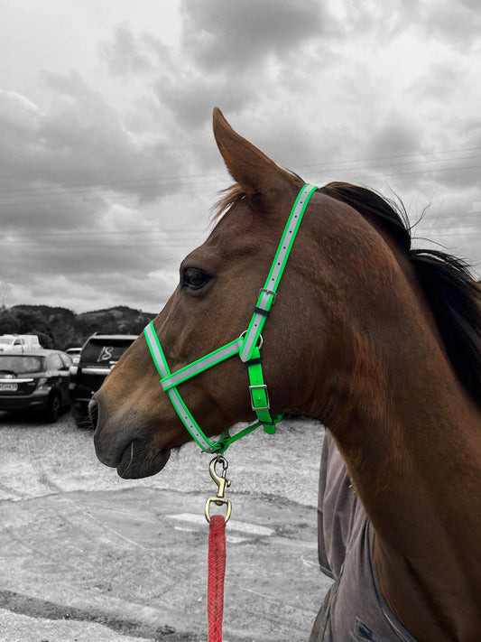 Reflective Under Halter - design your own