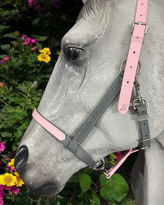 A gray horse, wearing an LS Equestrian Deux Lightweight 2-Part Endurance Bridle, stands against a backdrop of vibrant yellow and purple flowers. The horse's coat glistens in the sunlight.