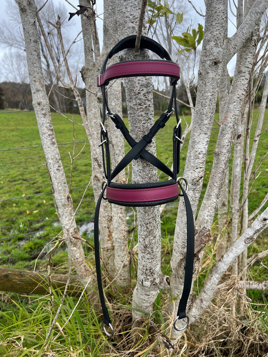 An LS Equestrian LS CrossOver Bitless Bridle, styled with a purple and black design, hangs on a tree branch, showcasing its BioThane® durability against a backdrop of green grass and leafless trees.