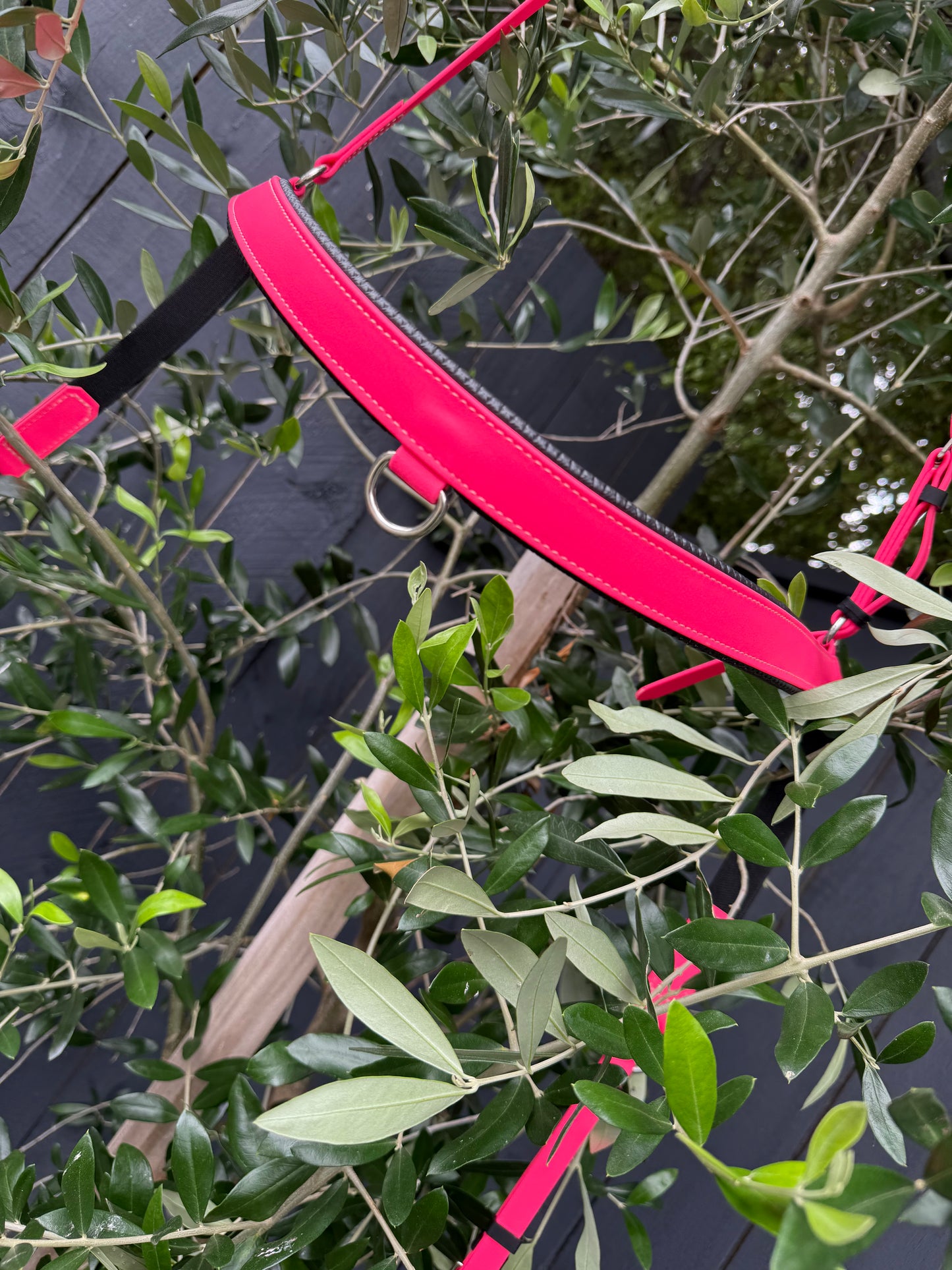 LS 2 Point Breastplate- Multiple colours available