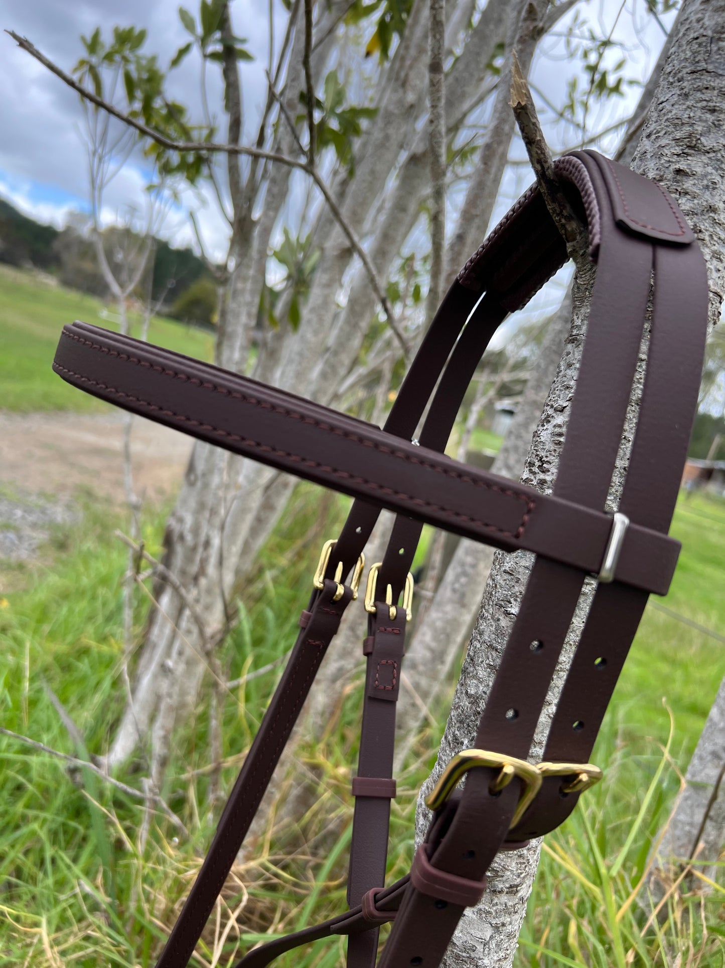 In a rural area with grass and a cloudy sky as the backdrop, an LS Equestrian LS Crossunder Bitless Bridle - Style your Own hangs on a tree branch. Its BioThane® durability ensures it effortlessly withstands the elements.