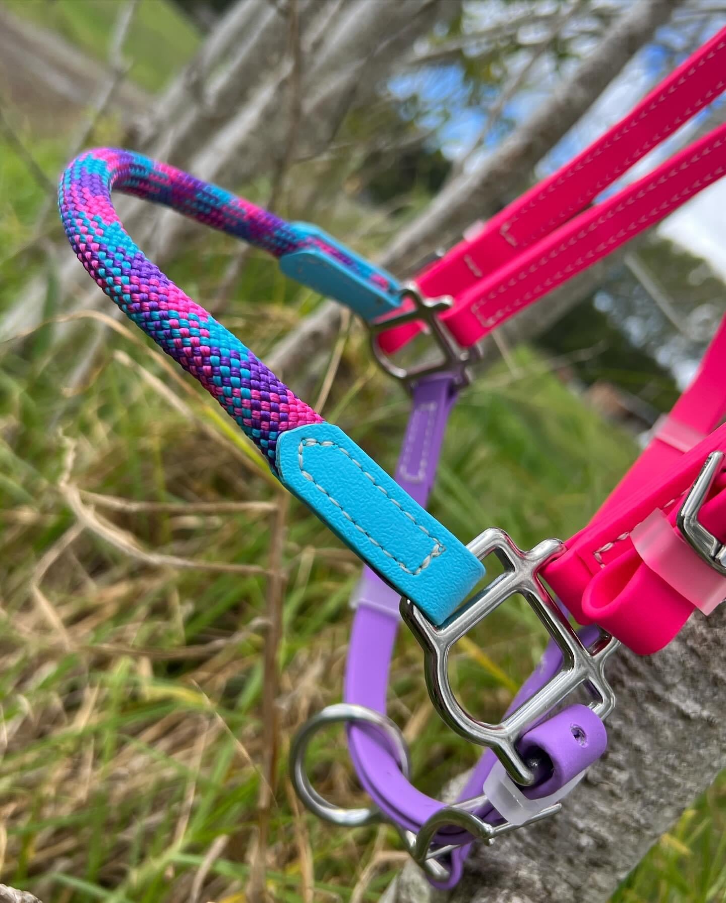 A close-up of a colorful horse halter hanging on a fence features bright pink, blue, and purple straps with silver hardware. This vibrant display evokes the customizable bridle options similar to the LS Deux CrossOver Bridle - Design your own from LS Equestrian, set against a lush grassy background.