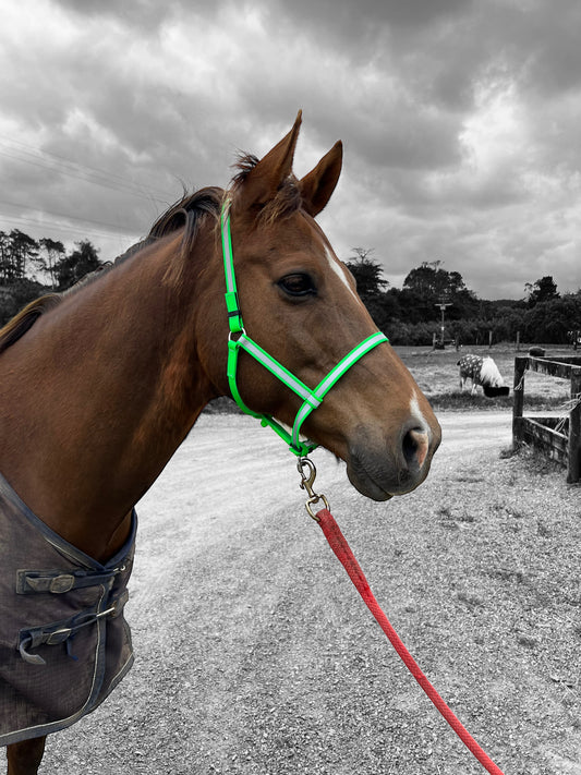 Reflective Breakaway Halter - design your own