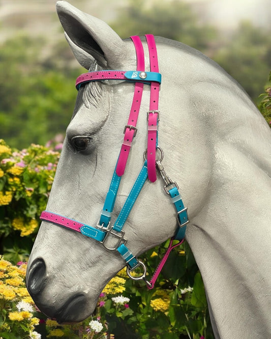 Endurance bridle, endurance tack, endurance, endurance horse, 2 part bridle, 2 part endurance bridle, endurance bridle 2 part, halter bridle