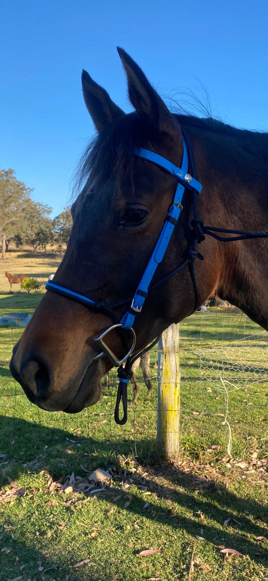 Biothane®️Endurance Bridle, 2 part bridle, deluxe bridle, trekking bridle, bridle. Equestrian, horse tack, endurance tack, biothane tack, bitless bridle, trekking bridle, horse, equine, beta biothane, beta, reflective, reflective biothane, reflective bridle, English bridle, cavesson bridle, Hanoverian bridle, English bridle, bridle with flash, flash noseband, racing bridle, race bridle, hackamore bridle, rope halter, rope halter beidle