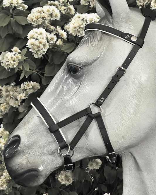 Sidepull bitless bridle, bitless bridle, biothane bridle, biothane bitless bridle, bitless riding, bridle, Sidepull, colourful bridle, waterproof bridle, synthetic bitless bridle, padded bitless bridle, ls bitless Sidepull bridle, bitless Sidepull bridle, jowl strap