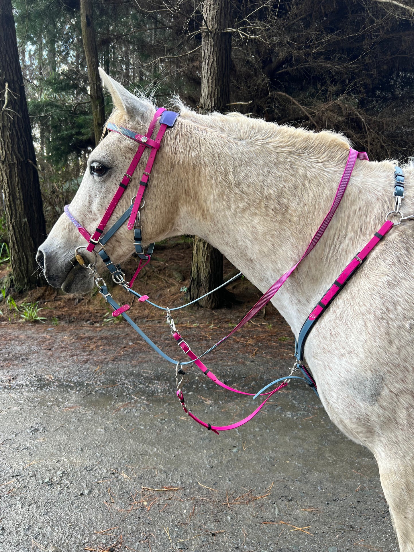 Snap Smart Borsplaat-ringe - Ontwerp jou eie