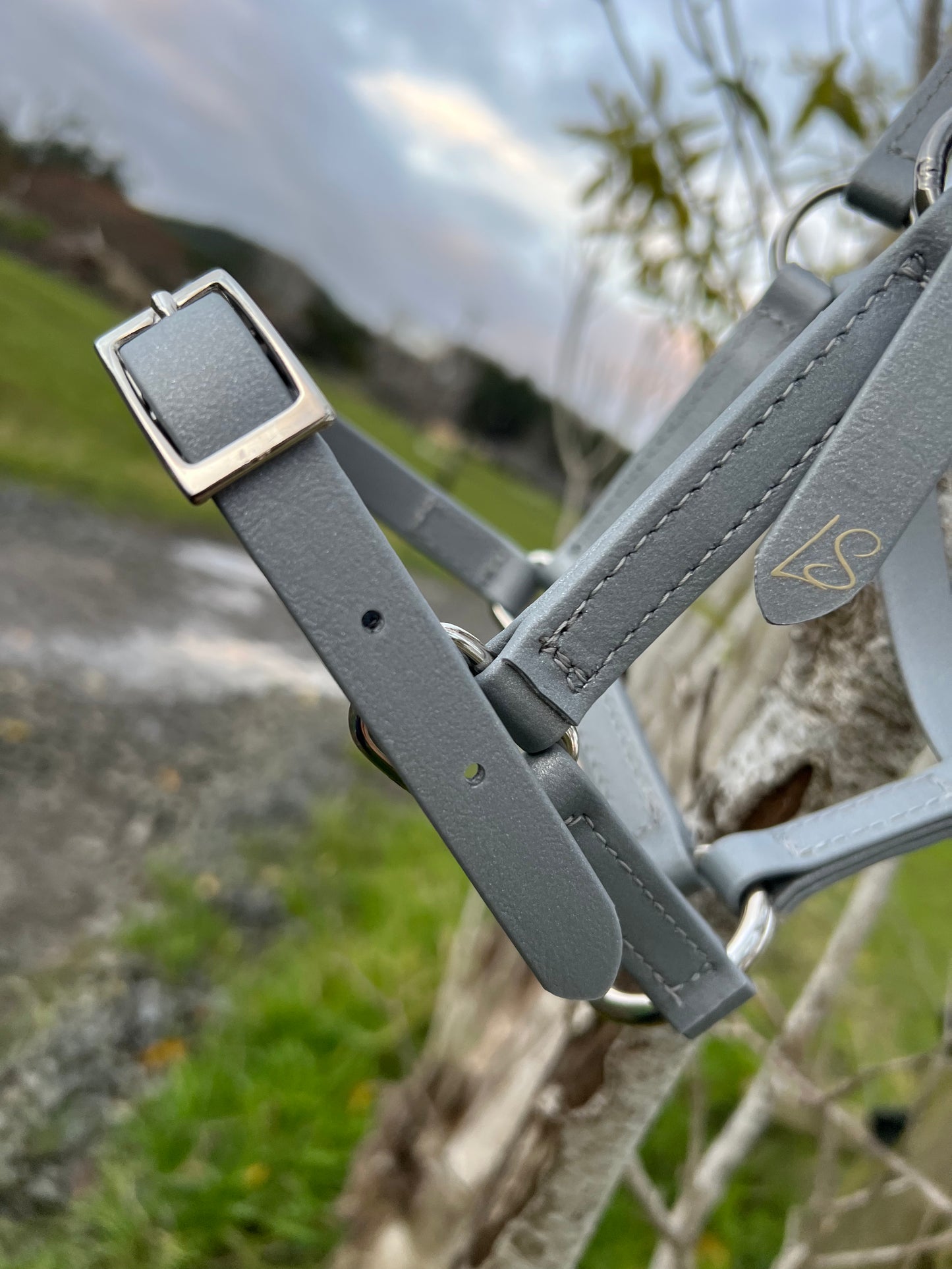 Diseñe su propio cabestro Paddock: accesorios de níquel