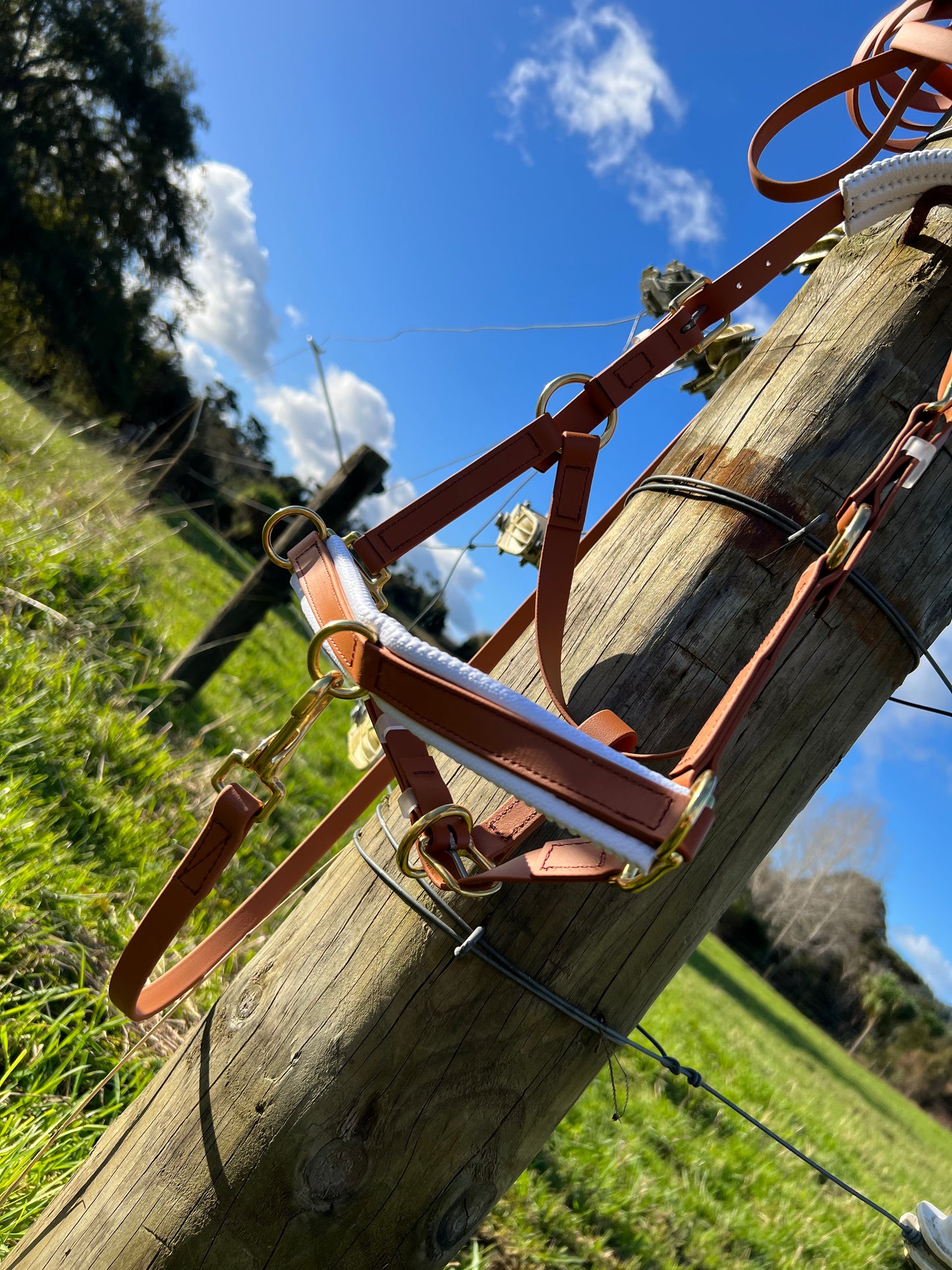 Entrenamiento / Correa Larga - 5 metros - Diseña el tuyo