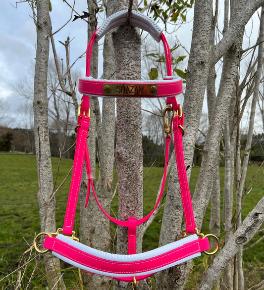 A horse halter in vibrant pink and white, designed by LS Equestrian, is hanging from a tree branch. It features shiny brass hardware and an engraved nameplate that reads "SHAZAM." The scene is set against a backdrop of bare trees and a grassy field beneath a cloudy sky.
