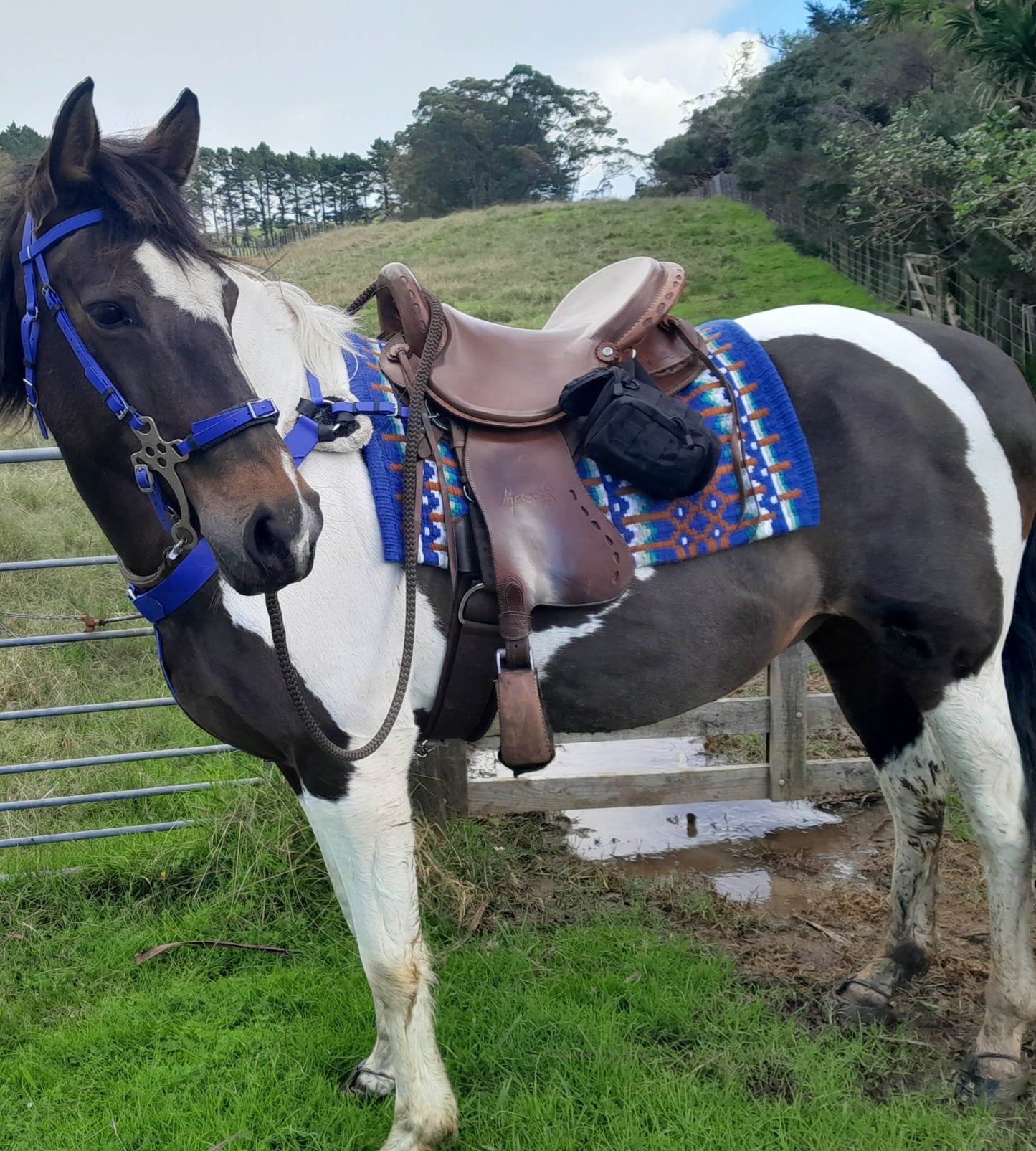 Coraza Occidental - Diseña la tuya