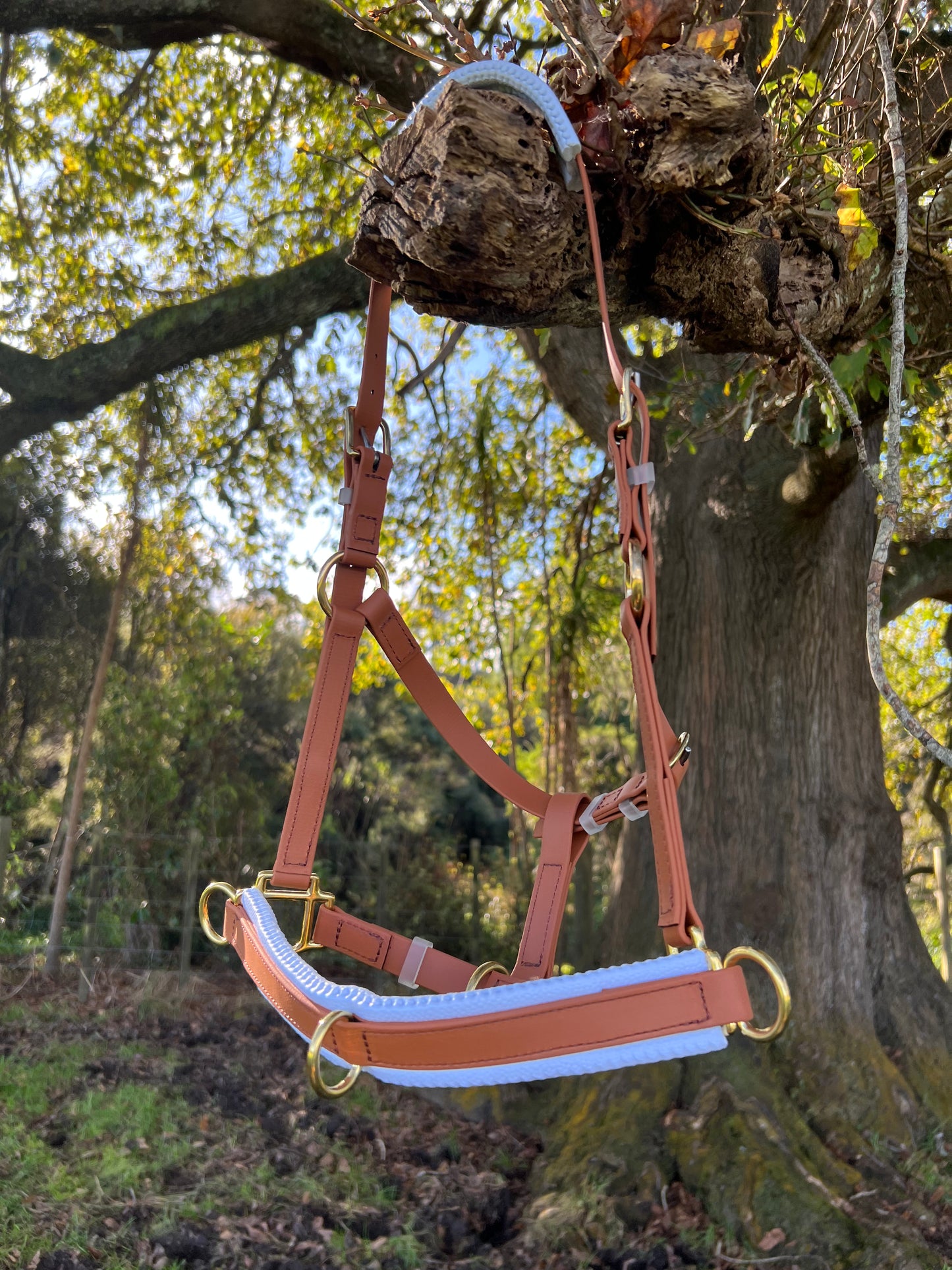 LS Lunge Cavesson - Diseña el tuyo propio