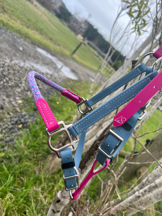 A blue and pink horse halter with silver buckles, similar to the versatile LS Equestrian's Design Your Own - LS CrossOver Halter, hangs on a tree branch. The background features a grassy field and an overcast sky.