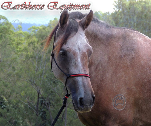 A brown horse fitted with an Earthhorse Equipment Insert Halter stands amid a natural backdrop of trees. The text "Earthhorse Equiptment" is positioned in the upper left corner, and a circular brand appears on the horse's side.