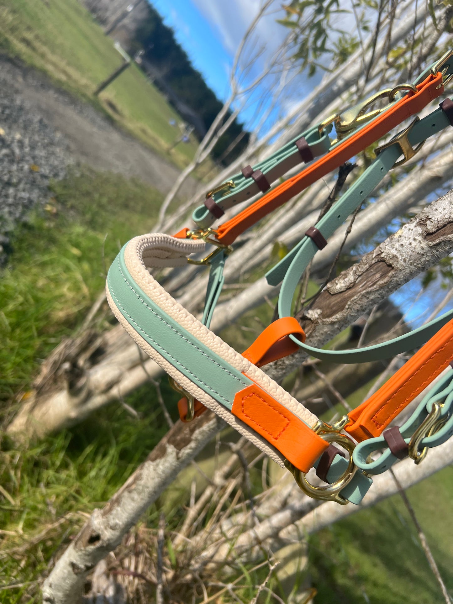 A vibrant BioThane®️ Multi Bridle Option 1 by LS Equestrian, featuring green and orange straps, is displayed on a tree branch. The grassy field and clear blue sky backdrop enhance the rural charm of the setting.