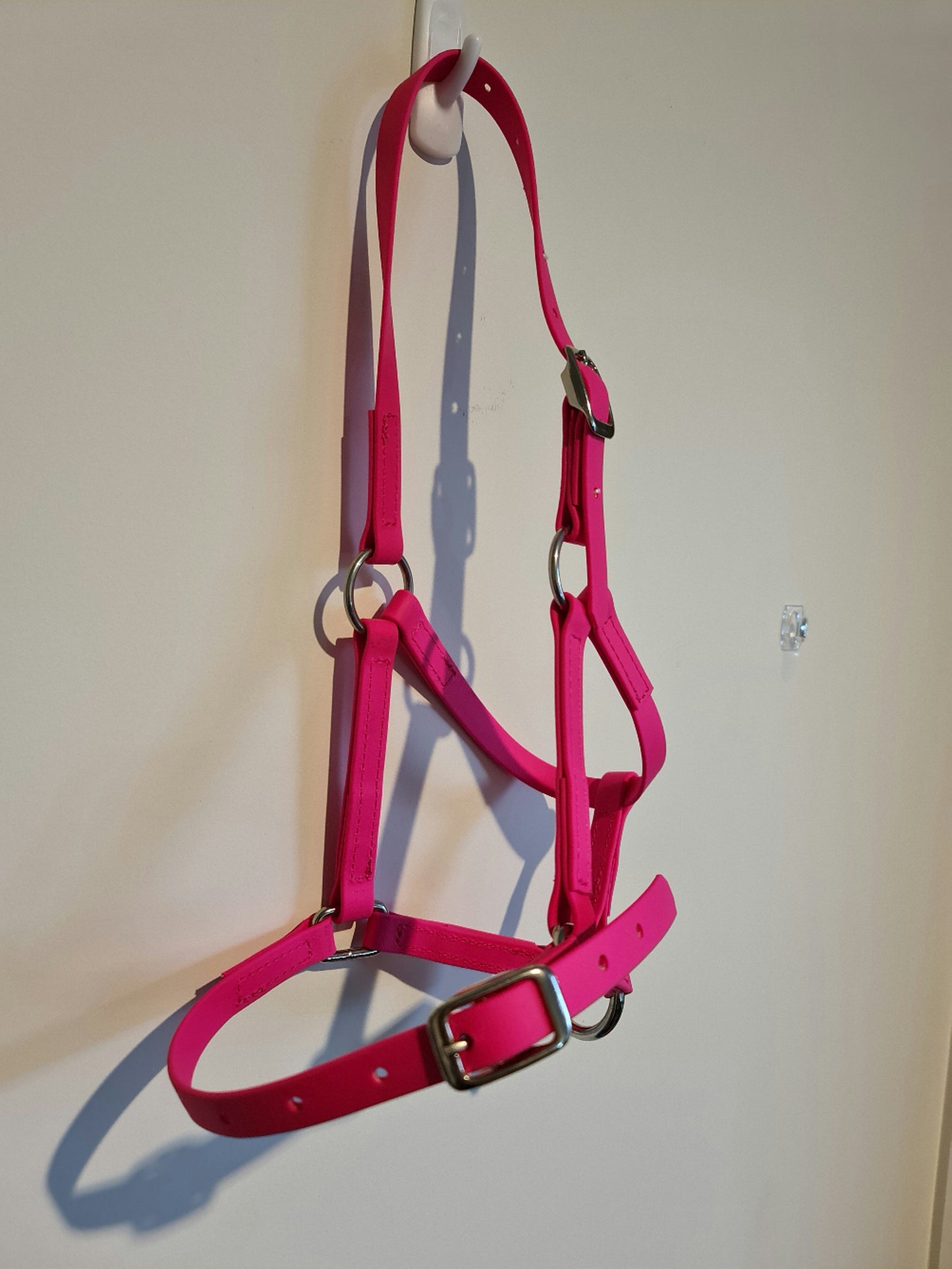 Miniature Paddock Halter