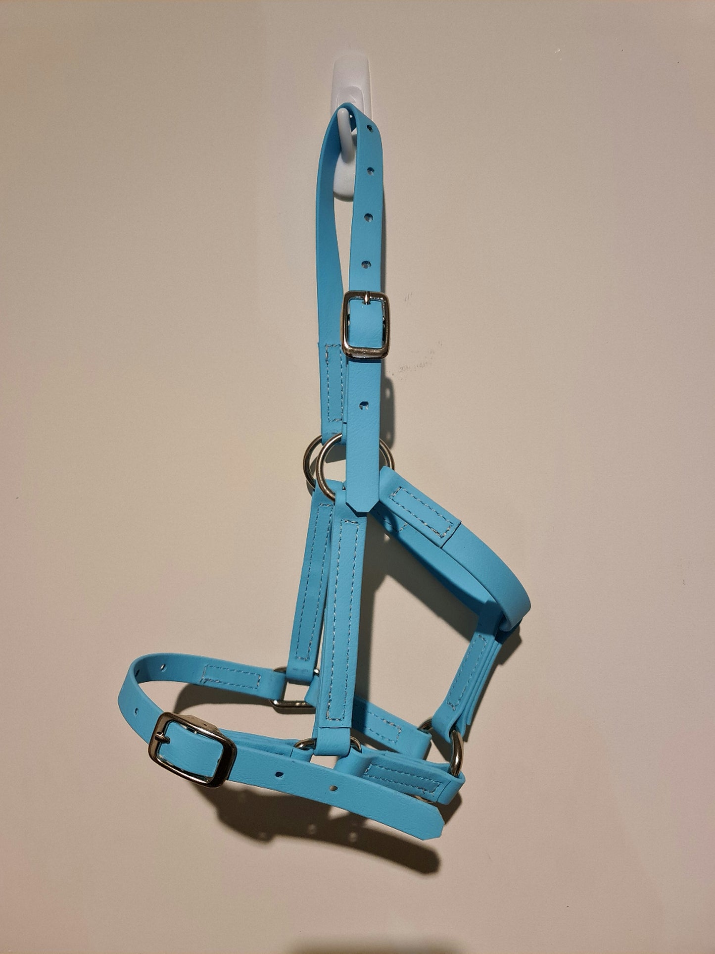 A turquoise blue Miniature Paddock Halter - Light Blue by LS Equestrian with silver buckles and adjustable BioThane straps hangs on a white wall hook.