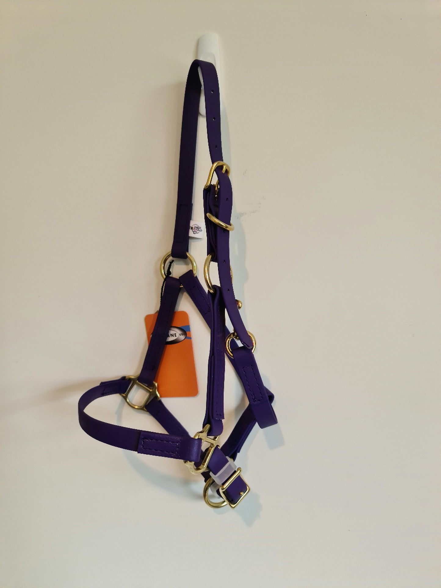 A LS Equestrian LS Halter in violet with brass fittings hangs on a white wall. An orange tag is attached to the halter.