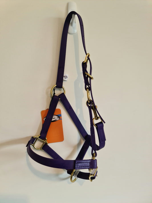 An LS Equestrian halter in Violet, featuring brass fittings, is displayed on a white hook set against a beige wall. An orange tag is affixed to the halter.