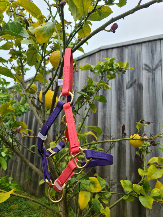 LS Halter - Coral & Violet