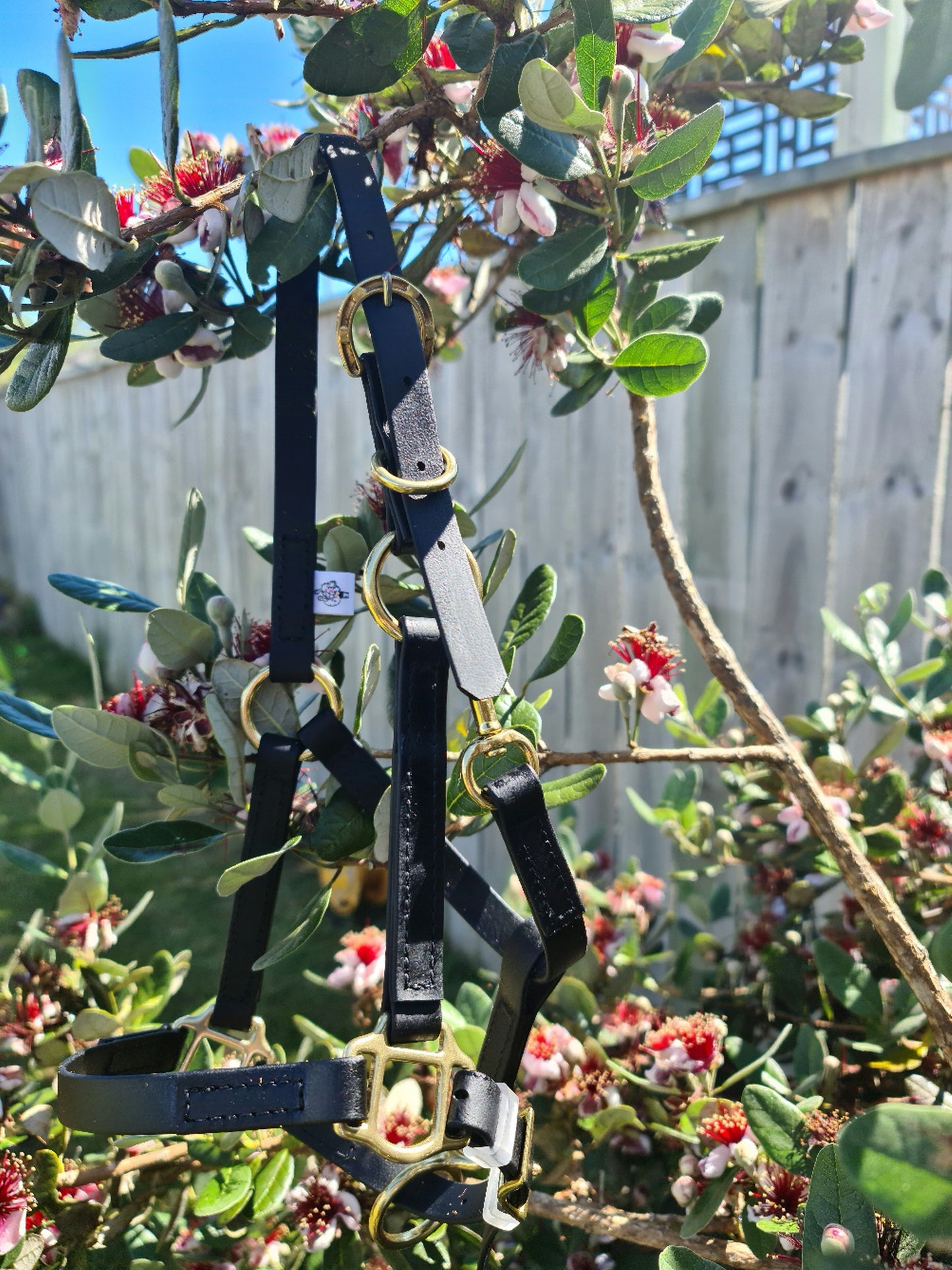 The LS Halter - Black from LS Equestrian is elegantly displayed on a branch of a flowering tree, highlighting its custom horse tack design with gold buckles. The tree is adorned with pink and white blossoms and lush green leaves, set against a wooden fence and a clear blue sky.