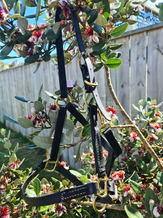 The LS Equestrian's LS Halter - Black, featuring custom craftsmanship with gold-colored hardware, is elegantly draped over a flowering bush adorned with red and white blossoms. In the background, a wooden fence and vibrant green foliage can be seen.
