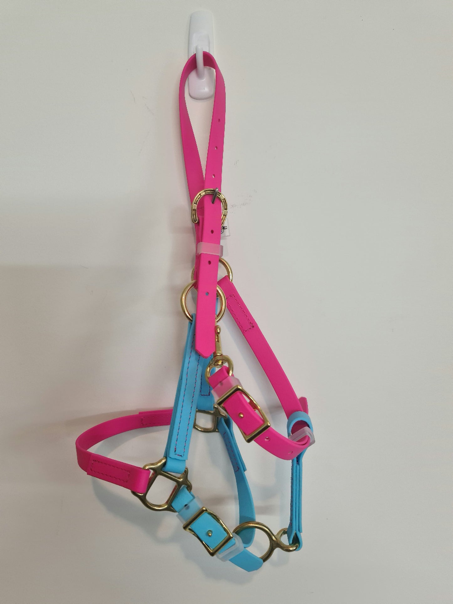 A brightly colored LS Equestrian LS Halter - Passionfruit Pink & Light Blue hangs on a white hook against a plain wall. This custom-made harness features vibrant pink and blue straps, with multiple gold metal rings and buckles for adjustments, complemented by durable stainless steel fittings.