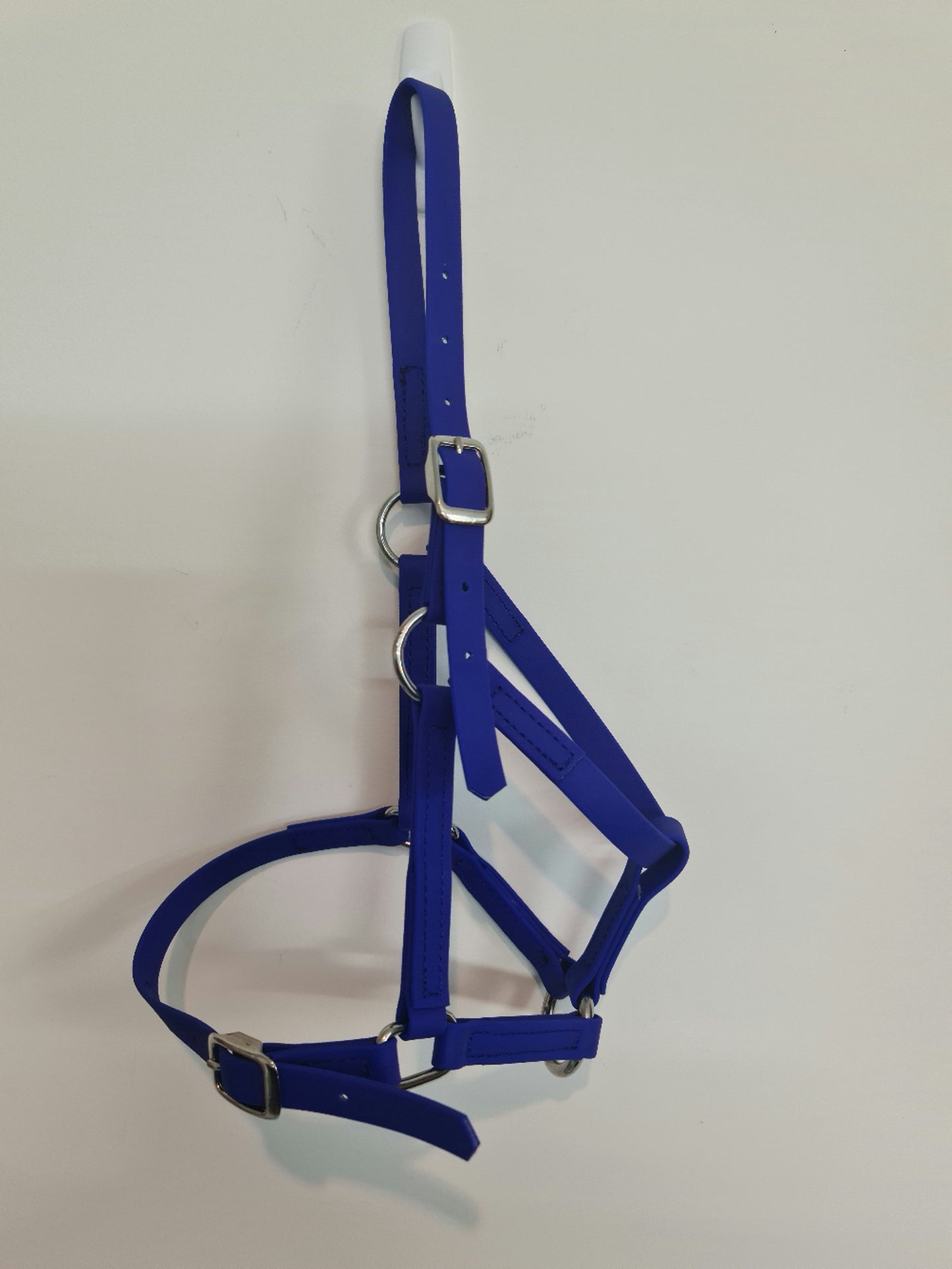 An elegantly displayed Miniature Paddock Halter in Sky Blue, designed by LS Equestrian, features adjustable straps and metal buckles against a white background. This exquisite piece is proudly crafted in New Zealand.