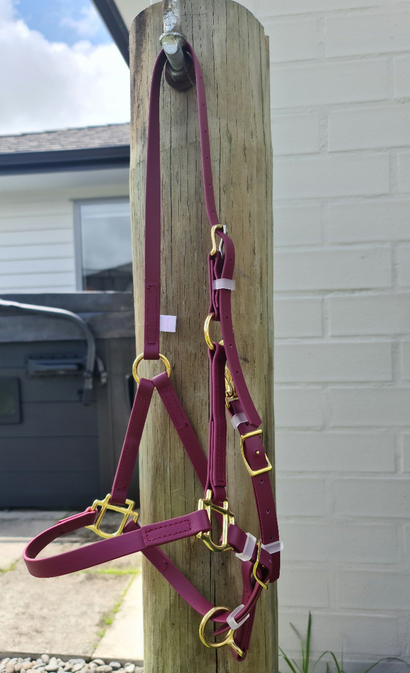 Cabestro LS - Borgoña