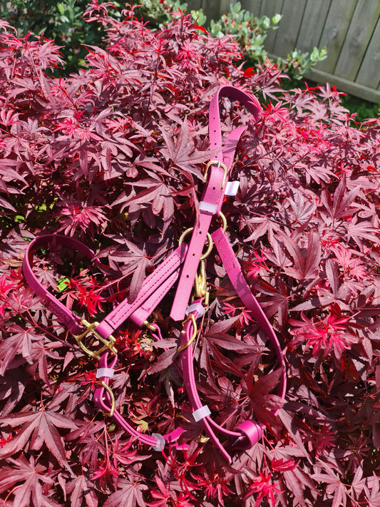 LS Halter - Burgundy