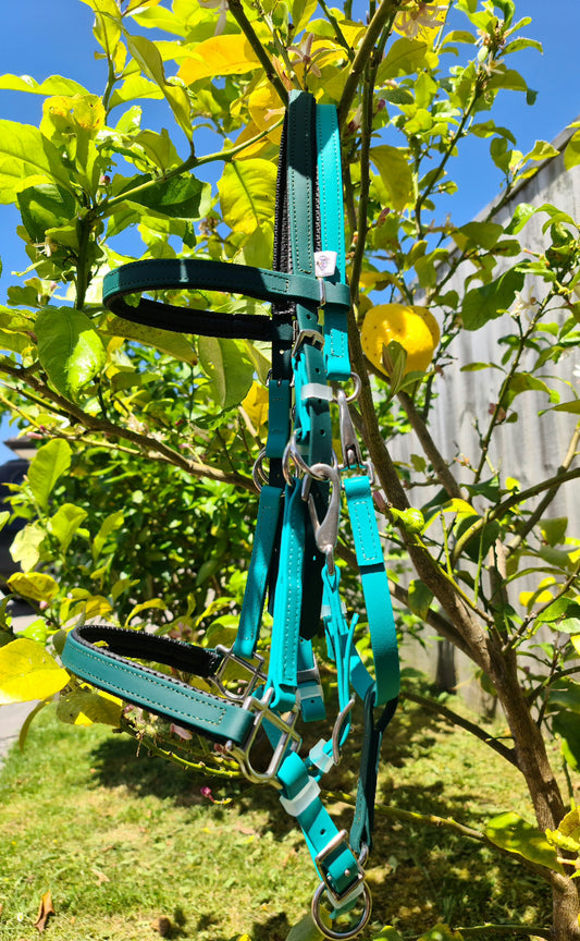 A Padded LS Enduro Bridle in Hunter Green & Teal from LS Equestrian hangs on a tree branch amid green leaves with a blue sky in the background, perfect for endurance riders seeking both style and functionality.