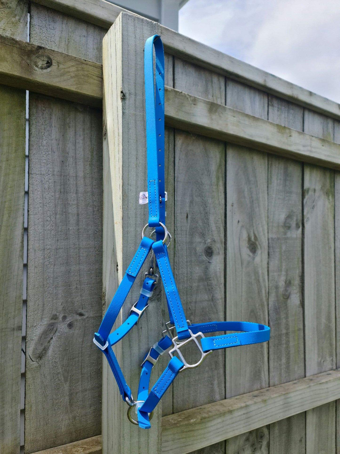 A Halter - Cyan Blue from LS Equestrian hangs on a wooden fence, its stainless steel fittings gleaming under a cloudy sky.
