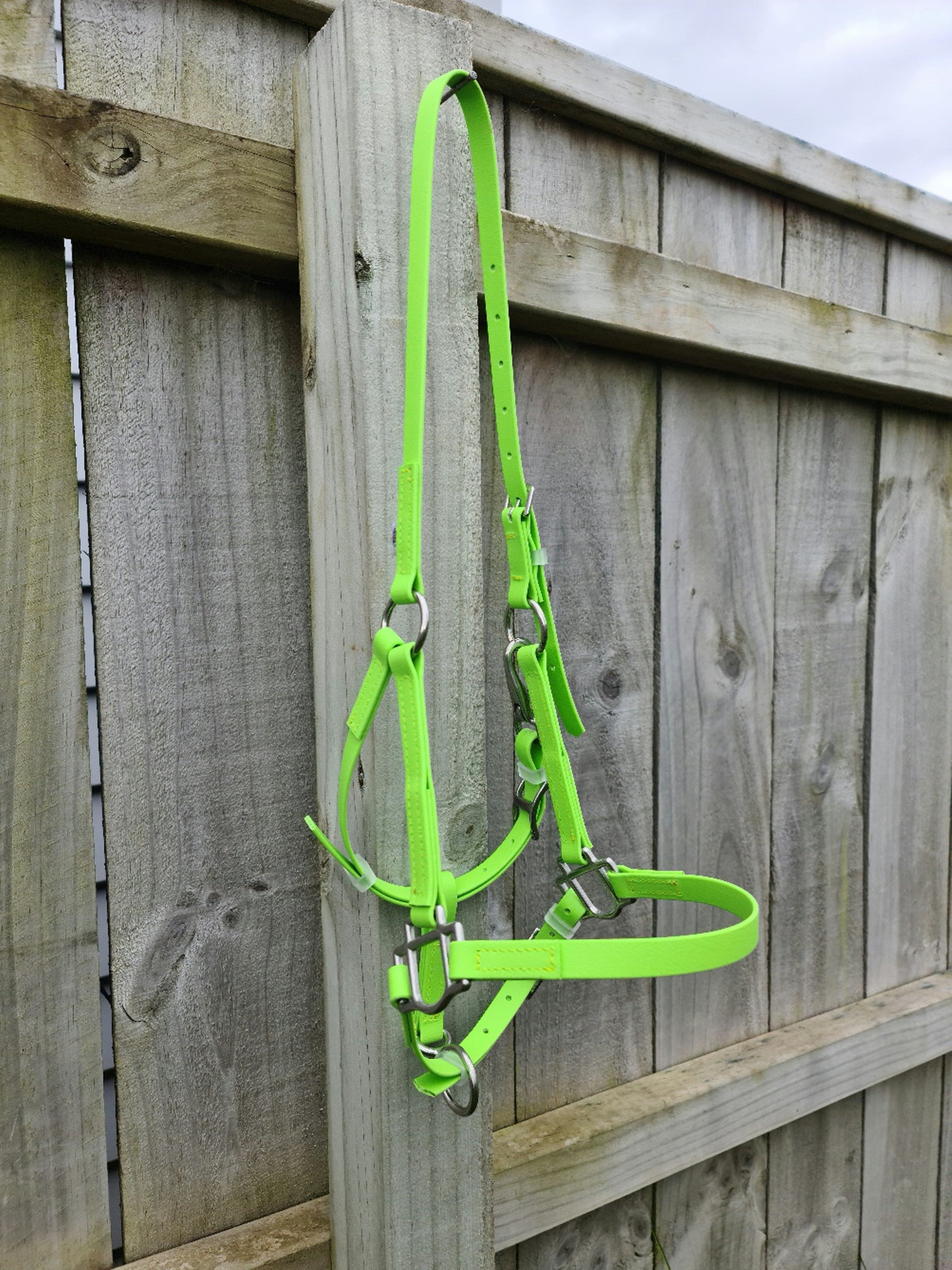 Cabestro - Verde Manzana