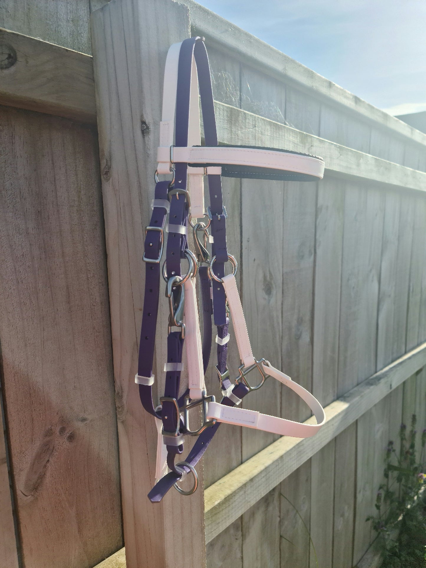 The LS Enduro - White & Violet Purple horse halter from LS Equestrian hangs on a wooden fence under a sunny sky.