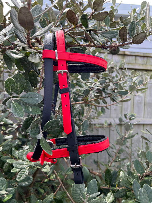 Simplicity Bridle - Black & Red