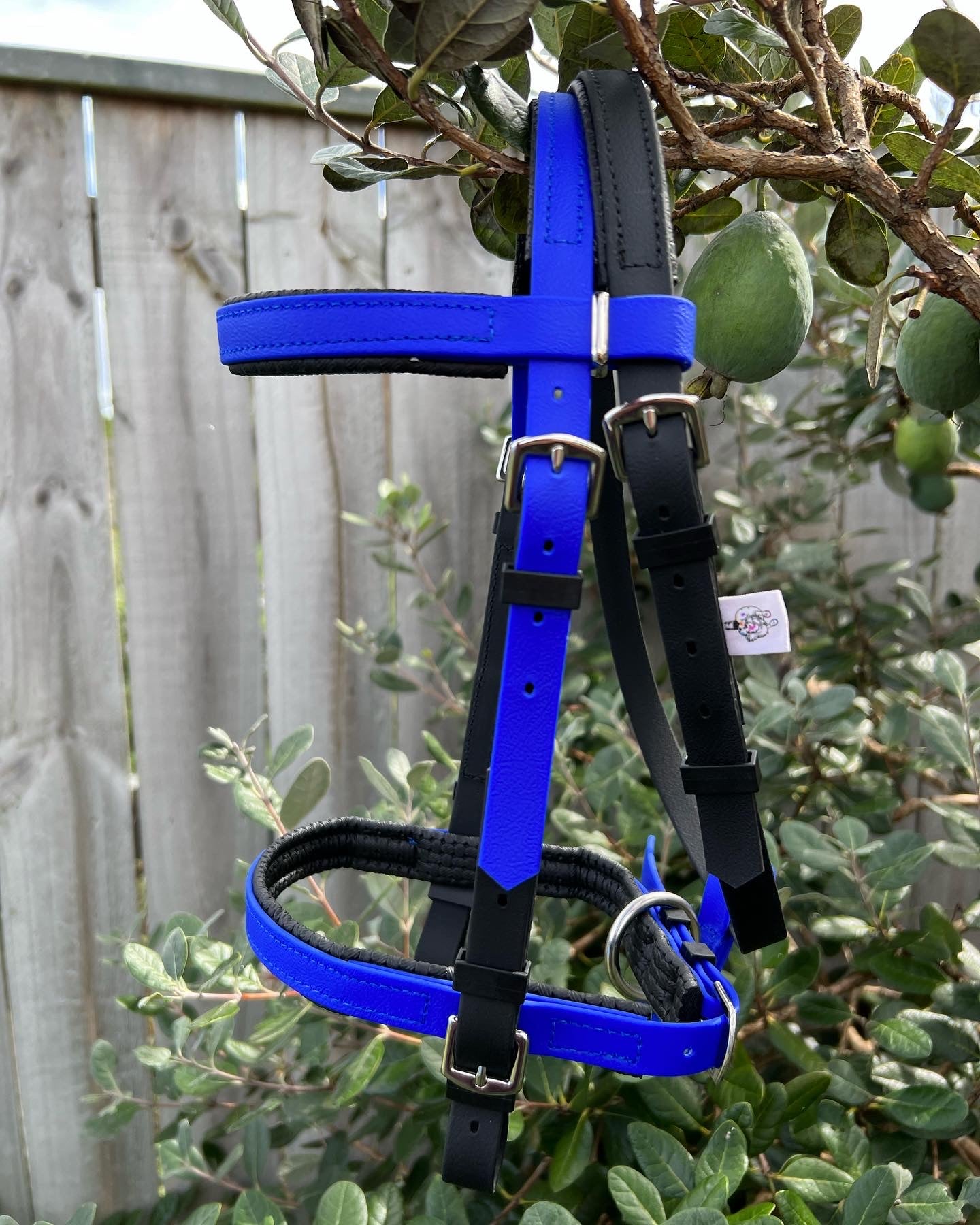 A vibrant black and royal blue padded bridle from LS Equestrian's "Simplicity" line hangs on a wooden fence in a garden setting with green foliage. This LS BETA® BioThane® bridle, featuring silver buckles, appears new and unused, ready to support various equine disciplines.