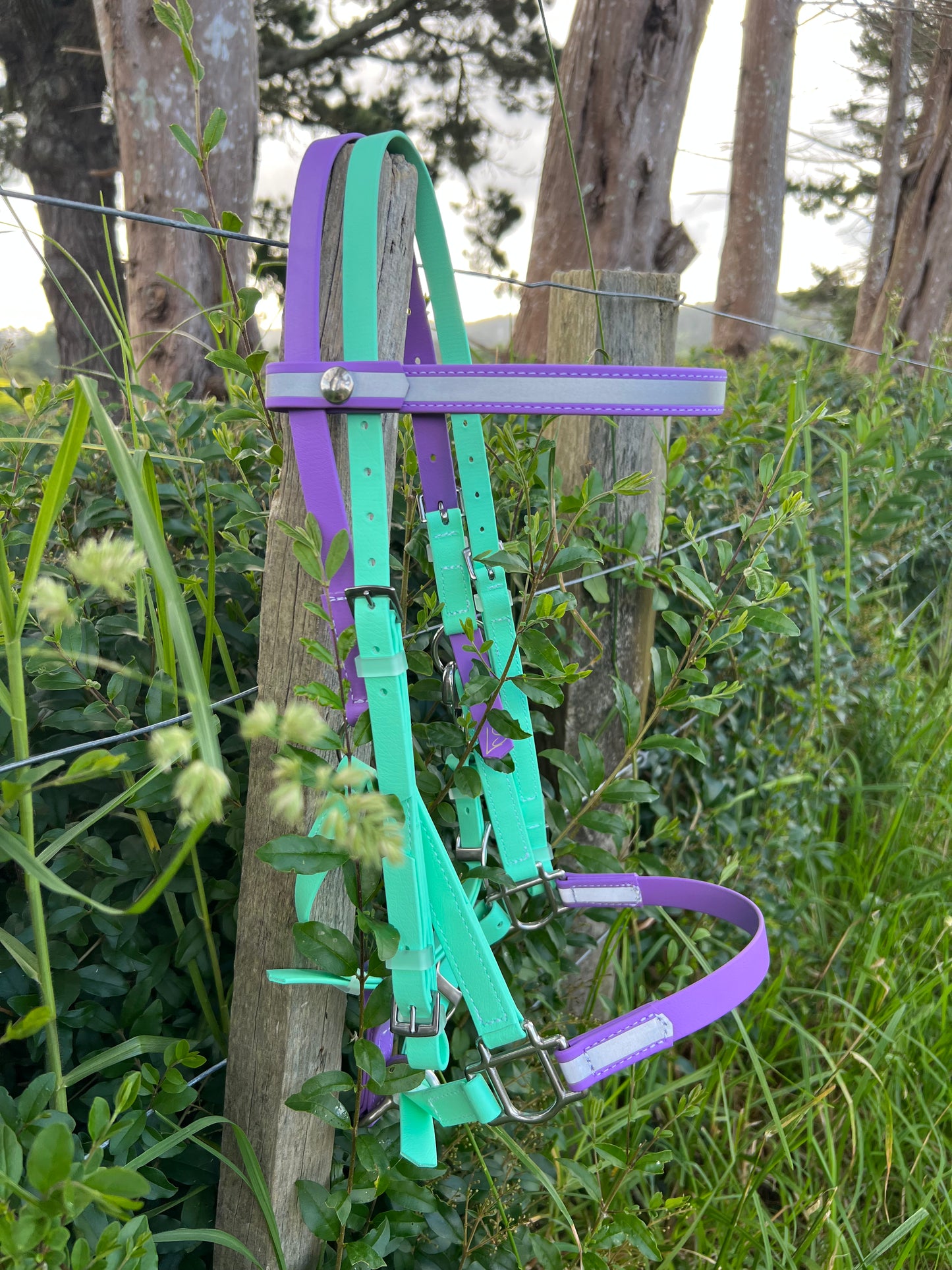 Reflective Deux Bridle - Seafoam & Amethyst