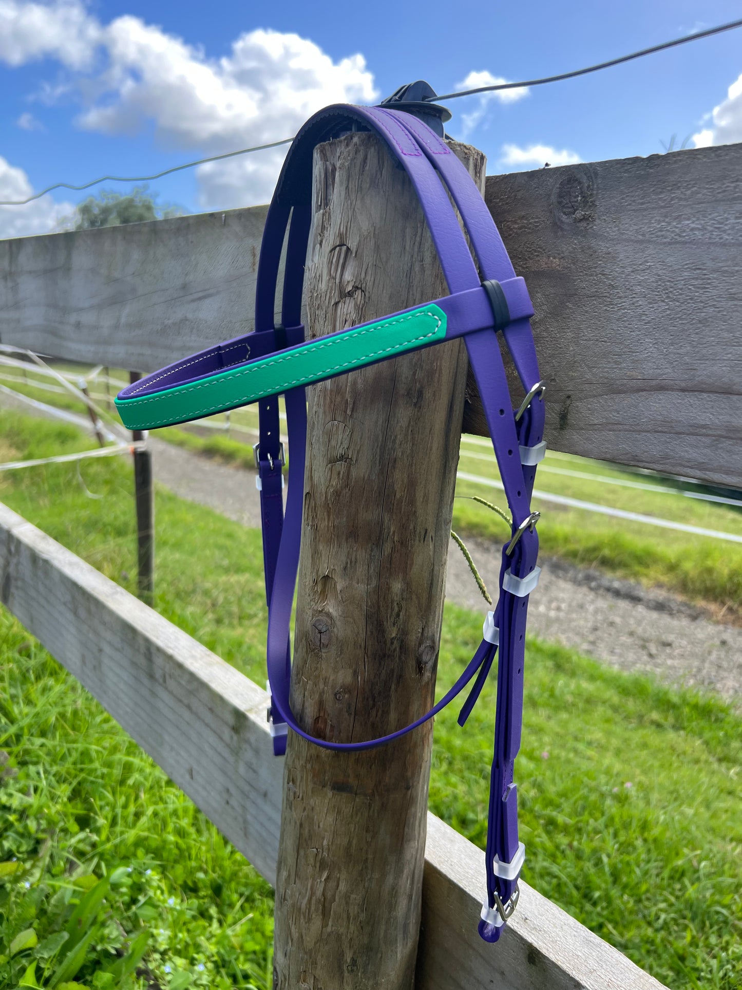 Race Bridle - Violet & Emerald Green