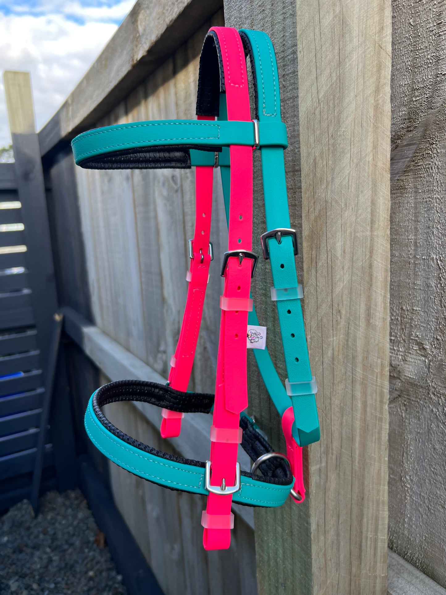 Simplicity Bridle - Teal & Bright Pink