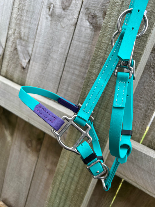 LS Deux Bridle - Teal & purple