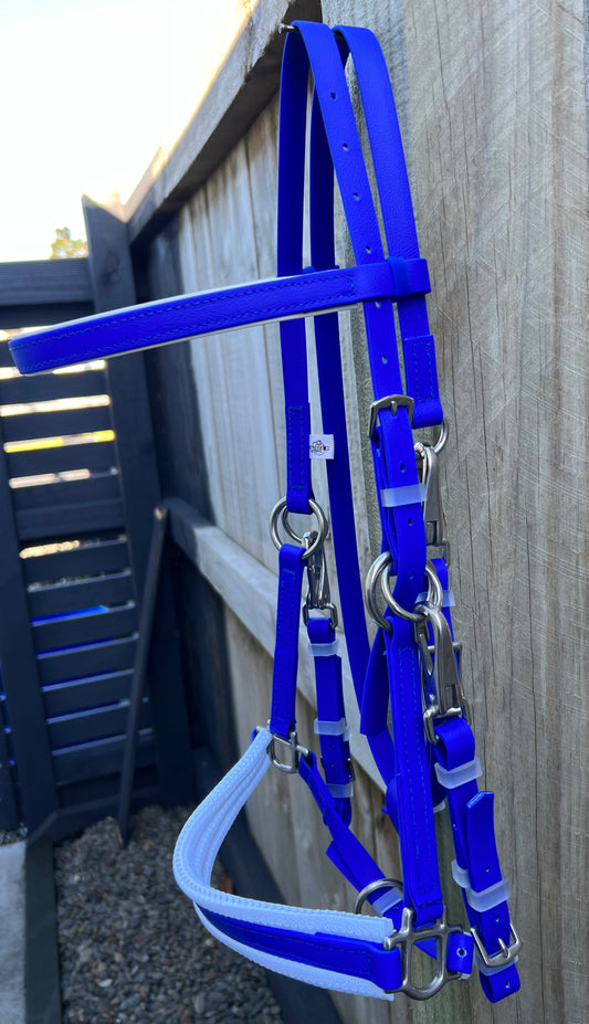 An LS Enduro Bridle in Royal Blue & White from LS Equestrian hangs on a wooden fence. The white sections provide a striking contrast against the royal blue, while the fence casts shadows on the gravel path—an ideal choice for endurance riders seeking both style and durability.