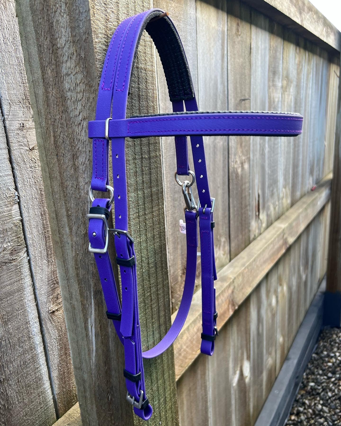 A Padded Race Bridle in vibrant violet purple from LS Equestrian hangs on a wooden fence. This BioThane halter, with adjustable straps and metal buckles, is set against vertical wooden panels and a gravel path.