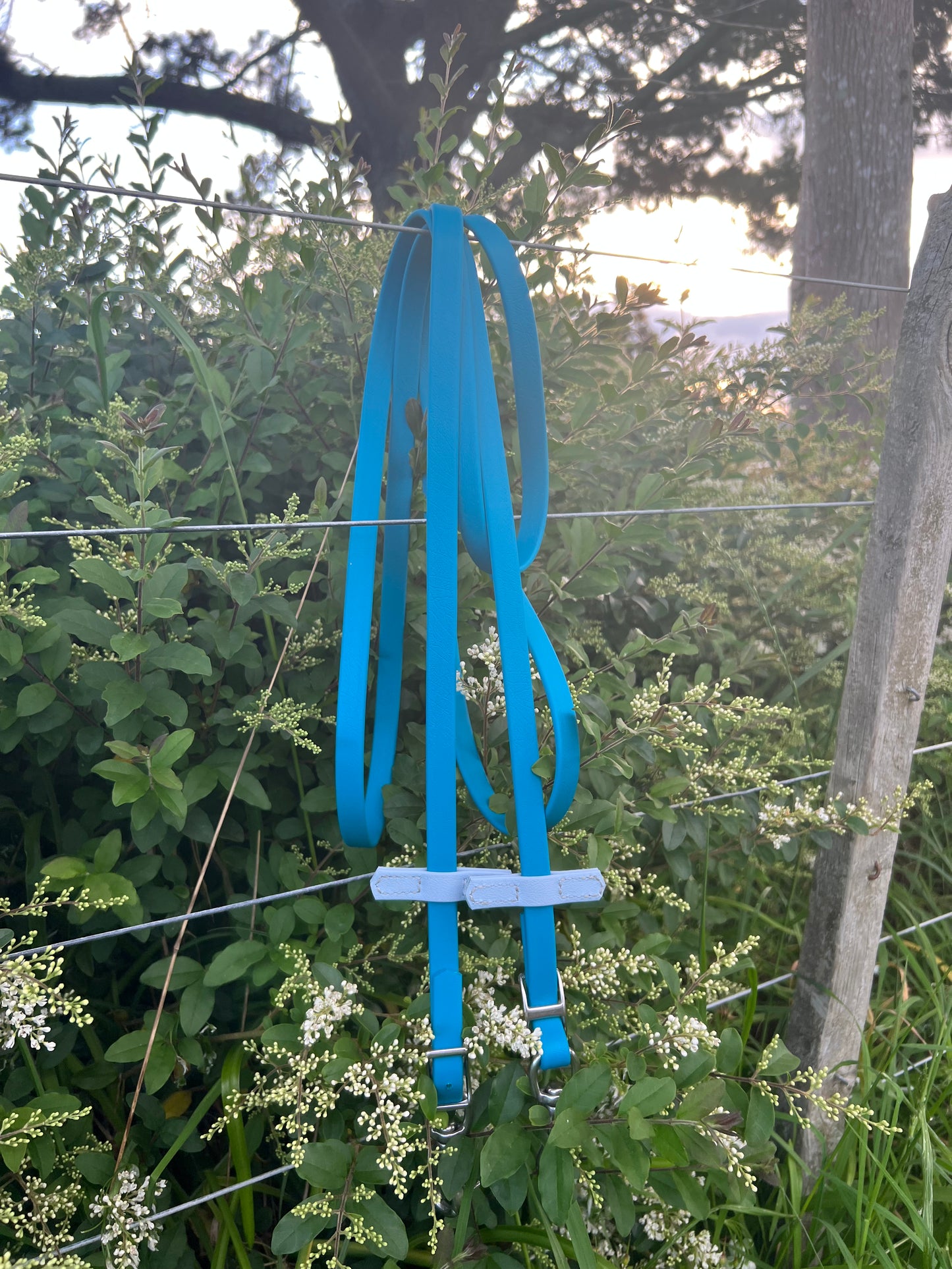 Riendas - Full BioThane Non split Lagune Blue