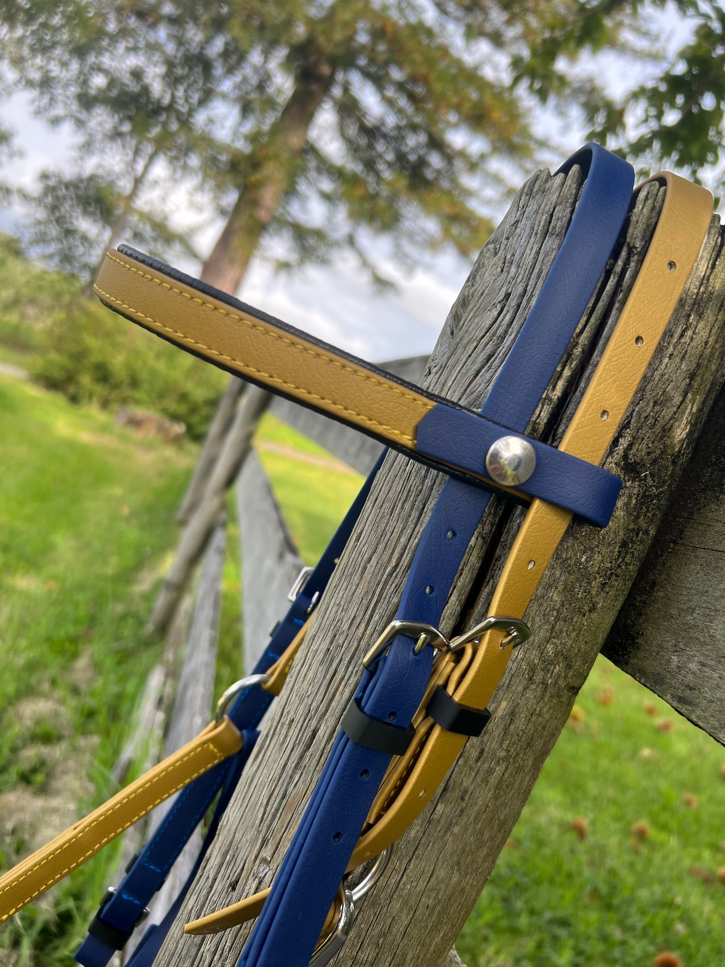 Brida LS Deux - Azul marino y dorado